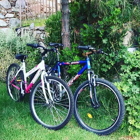 Lasmari's Bouquet Landhuis *