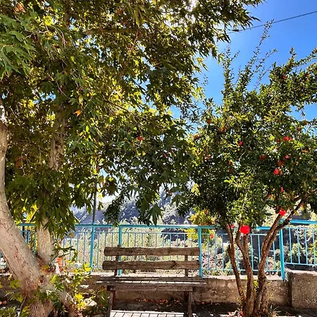 Landhuis Lasmari's Bouquet Sykopetra