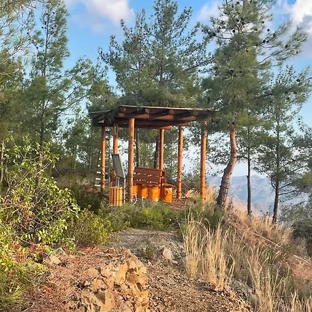 Lasmari's Bouquet Sykopetra