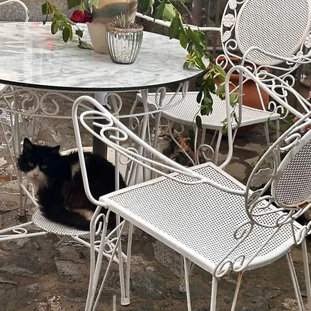 Landhuis Lasmari's Bouquet