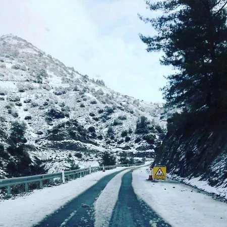 Lasmari's Bouquet * Sykopetra