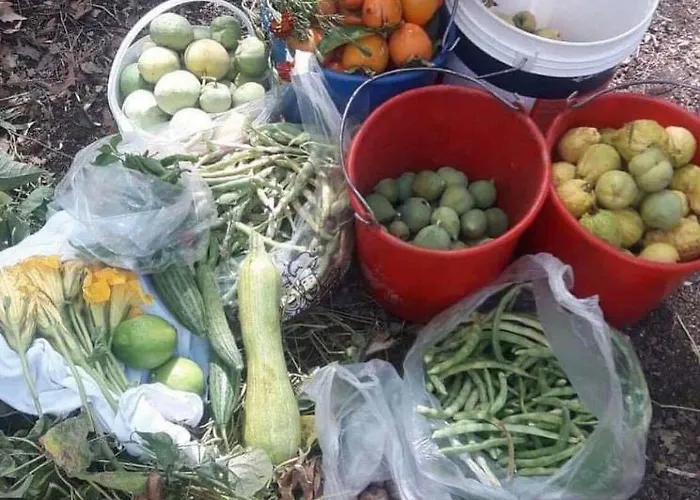Venkovský dům Lasmari's Bouquet Sykopetra