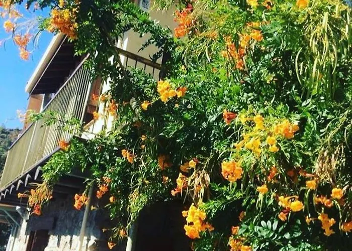 Lasmari's Bouquet